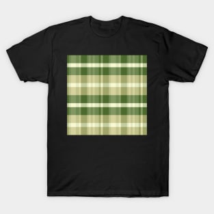 Spring Aesthetic Iagan 2 Hand Drawn Textured Plaid Pattern T-Shirt